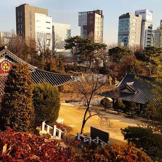 Bongeunsa Temple 봉은사