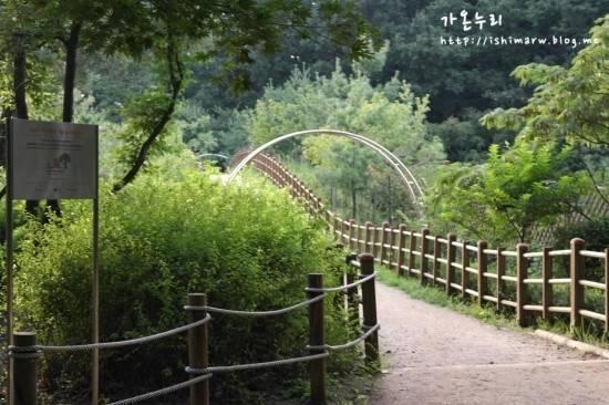 Shinhwa Forest1 신화숲 1호