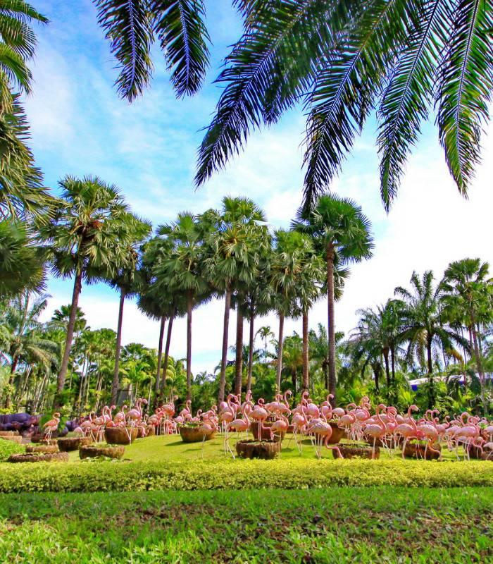 Nong Nooch Tropical Garden 
