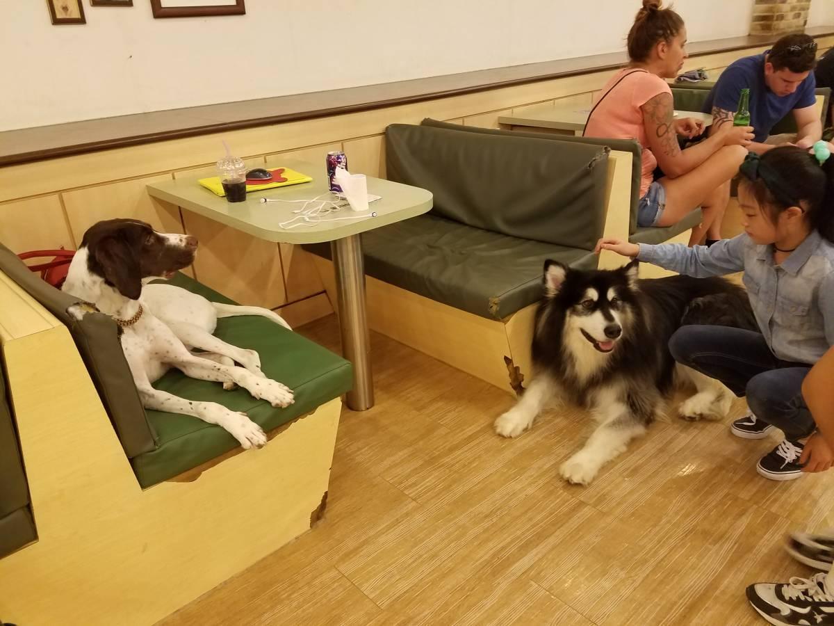 Bauhaus 바우하우스